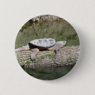 Snapping Turtle 6 Cm Round Badge