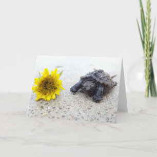 Snapping Turtle and dandelion greeting card