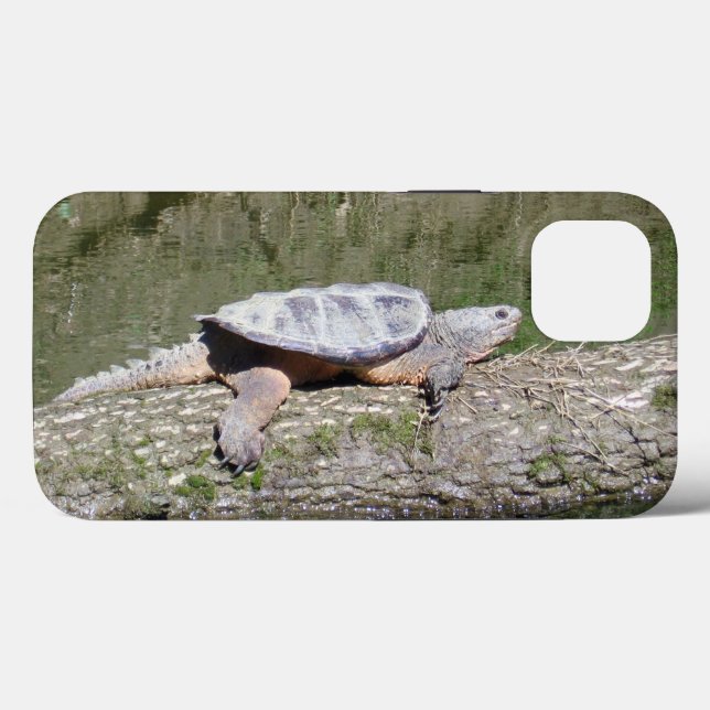 Snapping Turtle Case-Mate iPhone Case (Back (Horizontal))