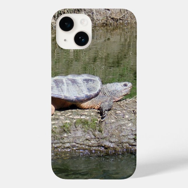Snapping Turtle Case-Mate iPhone Case (Back)