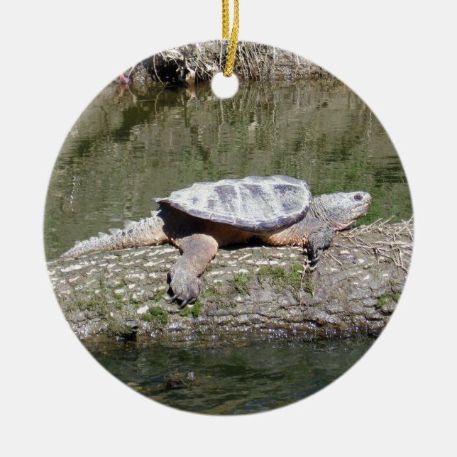 Snapping Turtle Ceramic Tree Decoration (Front)