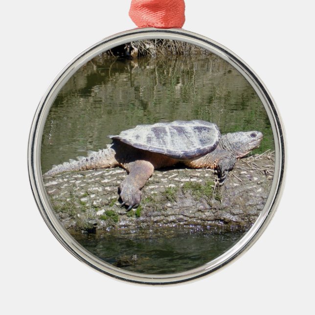 Snapping Turtle Metal Tree Decoration (Front)