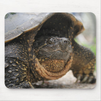 Snapping Turtle Mouse Mat
