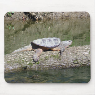 Snapping Turtle Mouse Mat