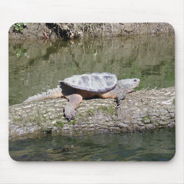 Snapping Turtle Mouse Mat (Front)