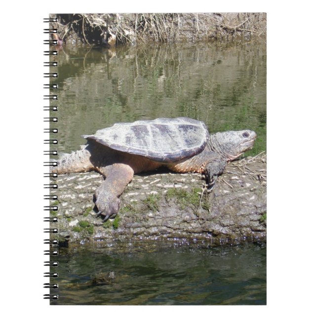 Snapping Turtle Notebook (Front)