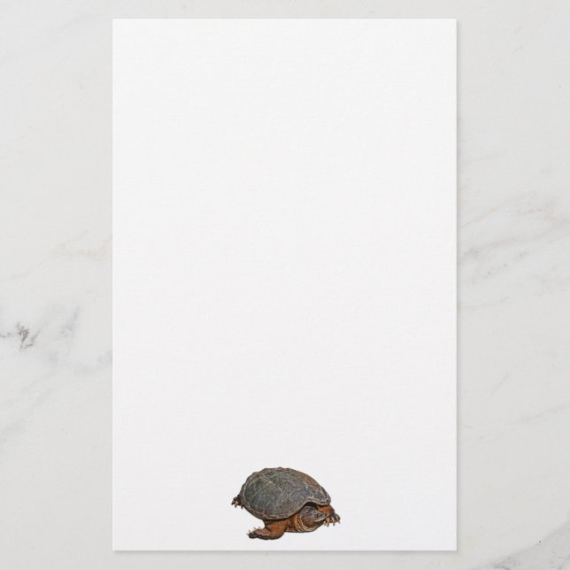 Snapping Turtle Terrapin-lover Gift Stationery (Front)
