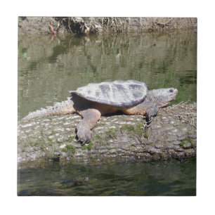Snapping Turtle Tile