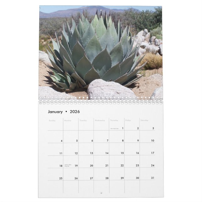 Snapshots Calendar (Jan 2026)