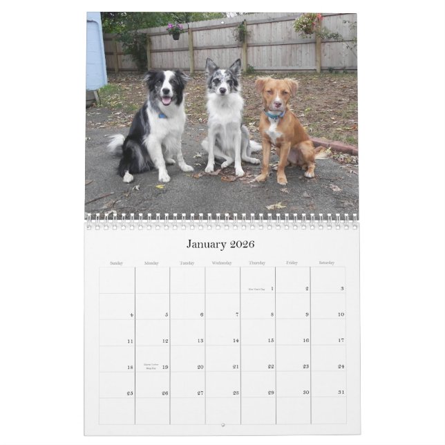 Snapshots From The Funny Farm 2012 calendar (Jan 2026)