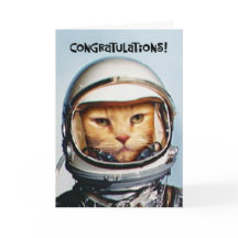 Snarky 25th Birthday Congratulations