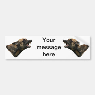 Snarling Belgian Malinois bumpersticker Bumper Sticker