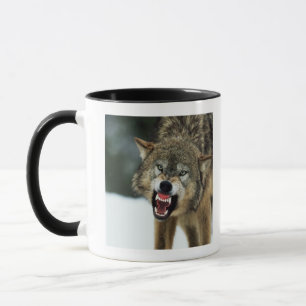 Snarling grey wolf mug