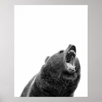 Snarling Grizzly Bear Black White modern