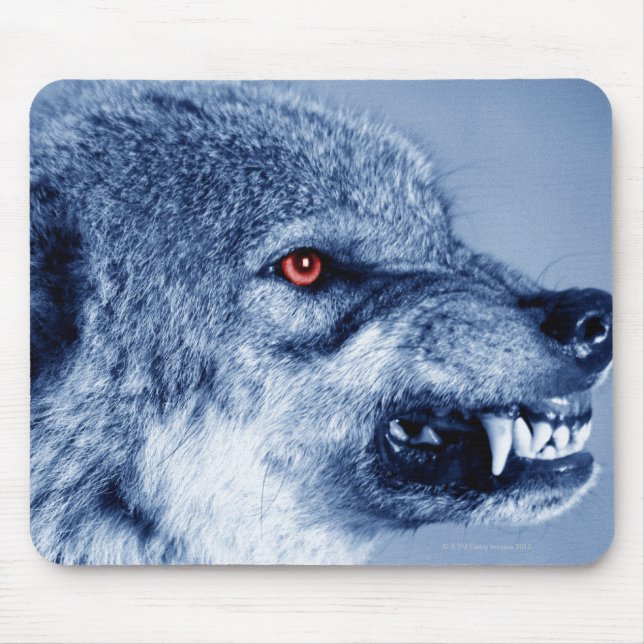 Snarling wolf (Canis Lupus), profile (Digital Mouse Mat (Front)