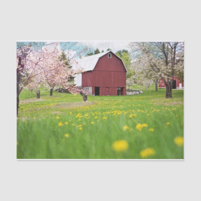 Snazzy Red Barn Posing With Pink Trees and Flowers Tissue Paper (Front)