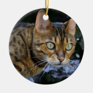Sneaking Bengal Cat Ceramic Tree Decoration