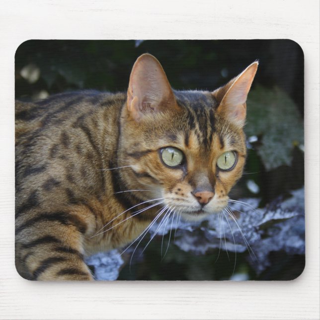 Sneaking Bengal Cat Mouse Mat (Front)