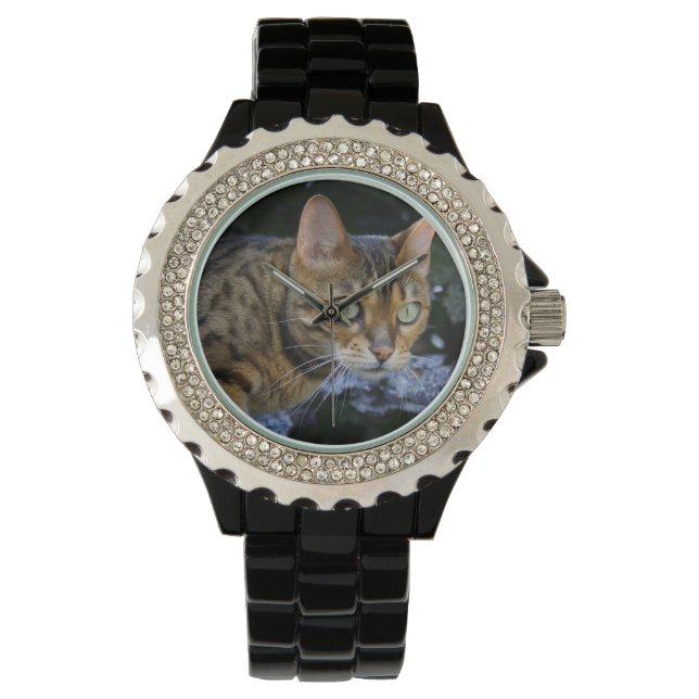Sneaking Bengal Cat Watch (Front)