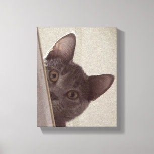 "Sneaky Cat" Print on Stretched Canvas
