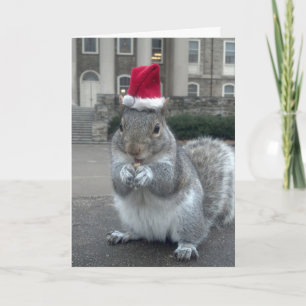 Sneezy the Squirrel Christmas Card