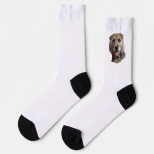 SNICKERS SOCKS