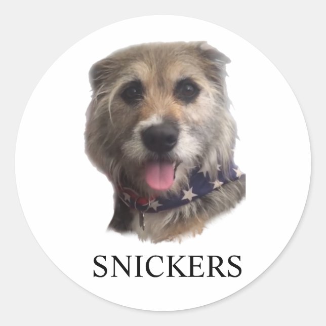 SNICKERS STICKER (Front)