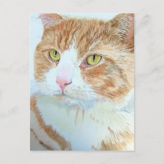 Snickers the Cat Postcard