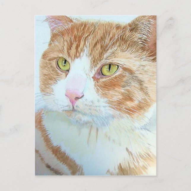 Snickers the Cat Postcard (Front)