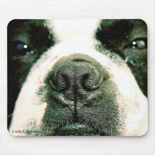 Sniff Sniff Mouse Mat (Front)