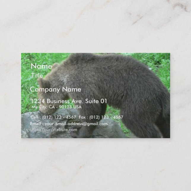 Sniffing Bear Business Card (Front)