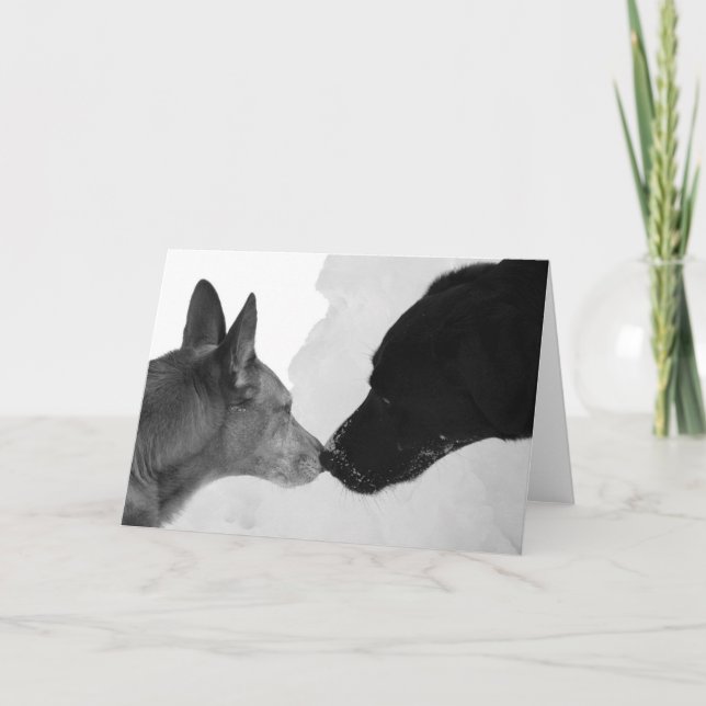 Sniffing Greeting Card (Front)