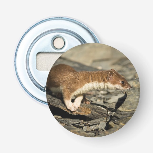 Sniffing Weasel Bottle Opener (Front)