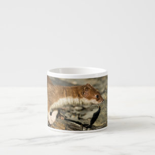 Sniffing Weasel Espresso Cup