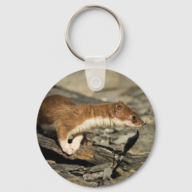 Sniffing Weasel Key Ring (Front)