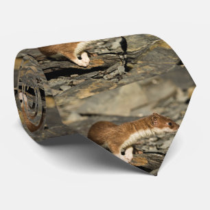 Sniffing Weasel Tie
