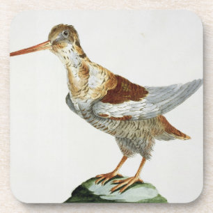 Snipe, c.1767-76 (hand coloured engraving) coaster