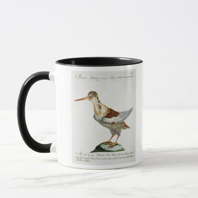 Snipe, c.1767-76 (hand coloured engraving) mug (Left)