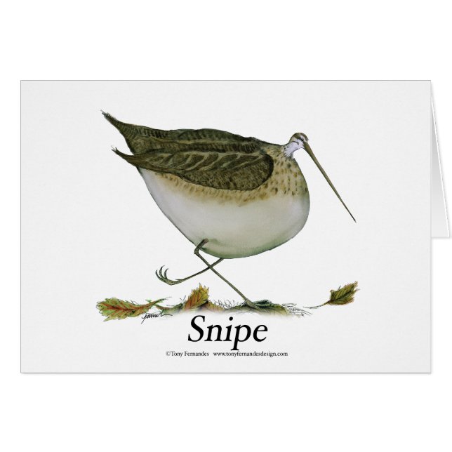 snipe, tony fernandes (Front Horizontal)