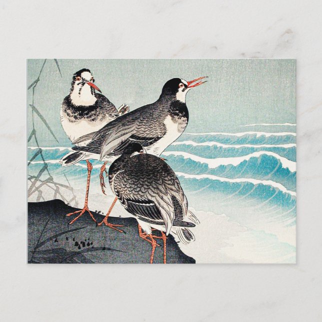 Snipes at the Shore, fine art by Ohara Koson Postcard (Front)