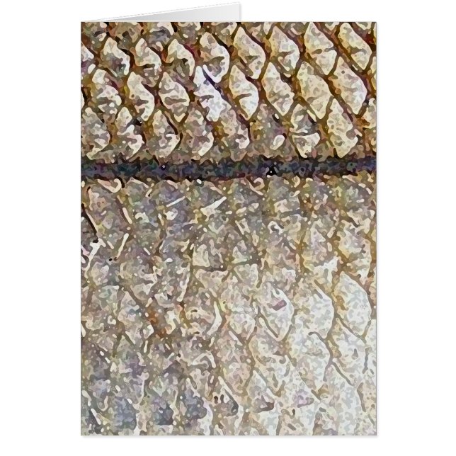 Snook - Card (Front)