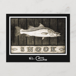 Snook Vintage Black & White Postcards