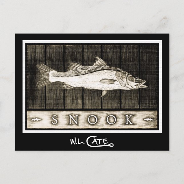 Snook Vintage Black & White Postcards (Front)