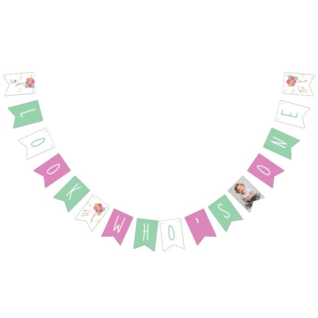 Snoopy and Balloons First Birthday Bunting (All)