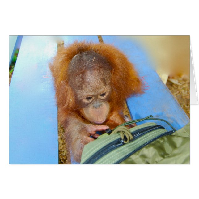 Snoopy Baby Orangutan (Front Horizontal)