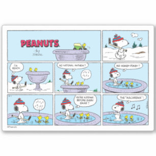 Snoopy & Friends Hockey Game