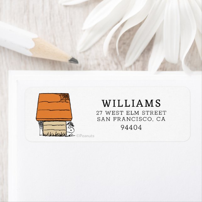 Snoopy Halloween Spider Web Doghouse (Insitu)