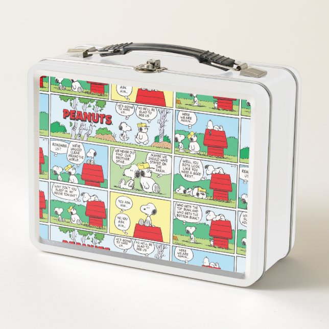 Snoopy & His Brothers Andy & Olaf Metal Lunch Box (Front)