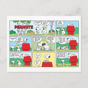 Snoopy & His Brothers Andy & Olaf Postcard