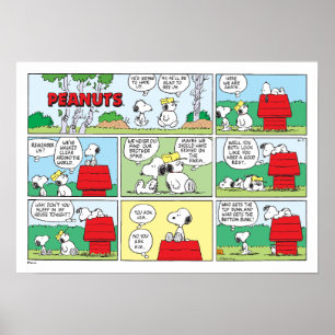 Snoopy & His Brothers Andy & Olaf Poster